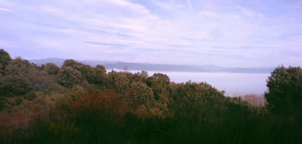 Scenic view of landscape against cloudy sky