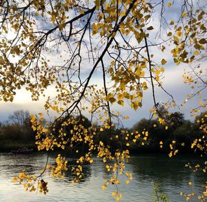 Scenic view of lake against sky during autumn