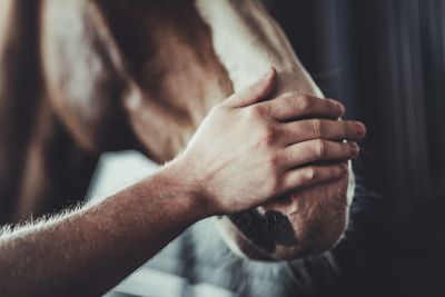 Close-up of man holding hands