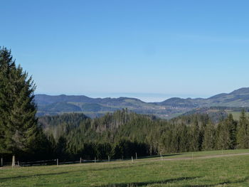 Scenic view of field against clear sky