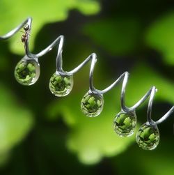 Close-up of water drops on plant