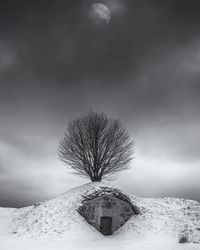 Bare tree on snow covered landscape against sky