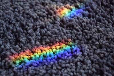 High angle view of spectrum on rug
