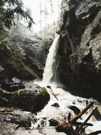 Scenic view of waterfall in forest