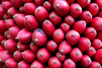 Full frame shot of titan arum seeds