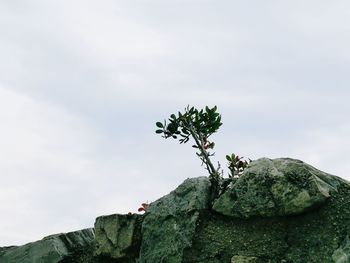 Low angle view of rocks against sky