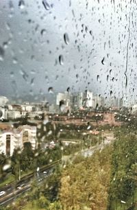 Rain drops on glass