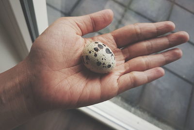 High angle view of person hand holding egg