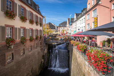 Potted plants by canal against buildings in city