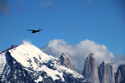 Low angle view of birds flying over snowcapped mountains against sky