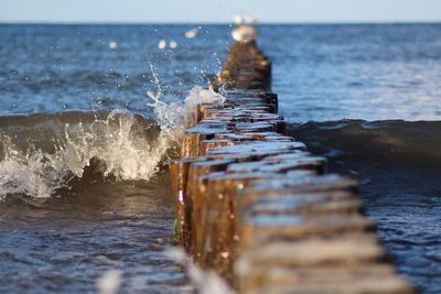 Surface level of wooden posts in sea against sky