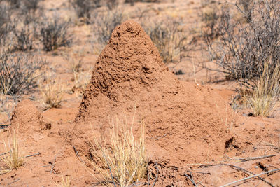 Rock formations in desert