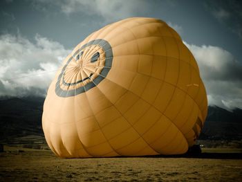 Hot air balloon on landscape