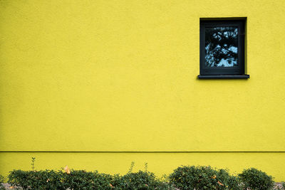 Close-up of yellow window