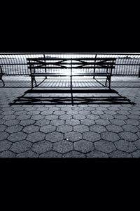 Shadow of tree on the wall