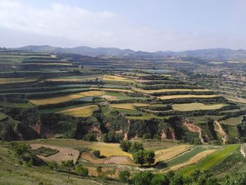 Aerial view of agricultural field against sky