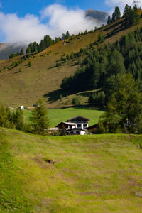 Scenic view of trees and houses on field against sky