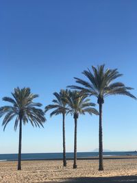 Palm trees on beach against clear blue sky