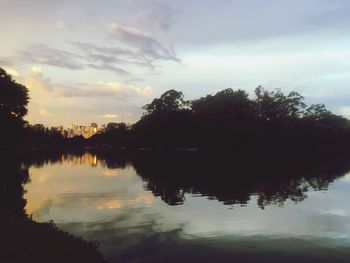 Reflection of trees in water