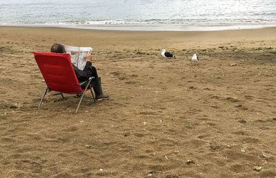 Person reading newspaper on beach