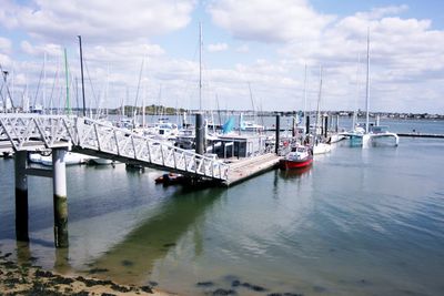 Boats moored in harbor