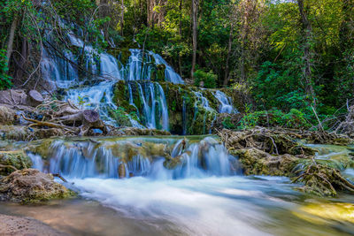 Scenic view of waterfall in forest