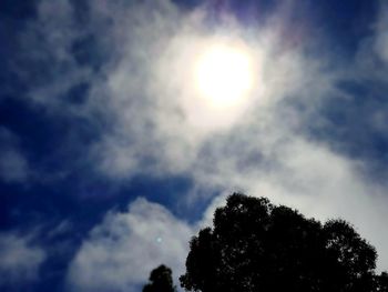 Low angle view of tree against cloudy sky