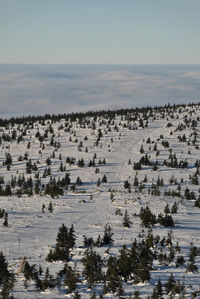 Scenic view of landscape against sky