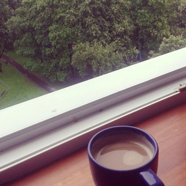 drink, table, tree, refreshment, coffee cup, water, high angle view, day, indoors, wood - material, close-up, green color, food and drink, no people, nature, window, railing, growth, coffee