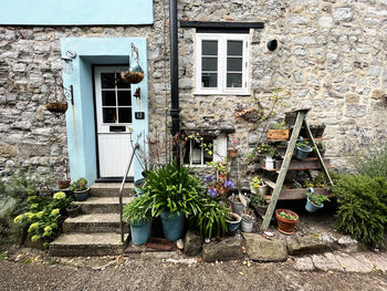 Potted plant against building