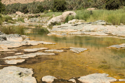 Reflection of rocks in water