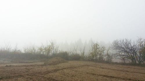 Close-up of wet landscape against sky