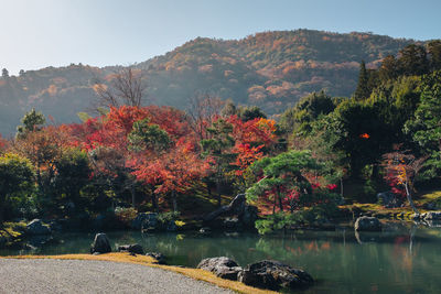 Trees by lake against sky during autumn