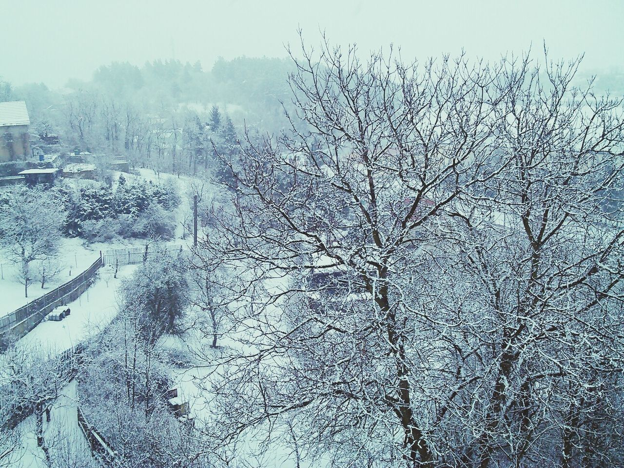 winter, cold temperature, snow, season, weather, bare tree, frozen, tree, covering, nature, building exterior, branch, tranquility, built structure, architecture, clear sky, day, beauty in nature, sky, water
