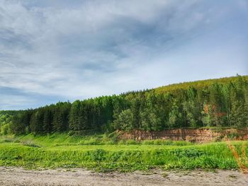 Scenic view of field against sky