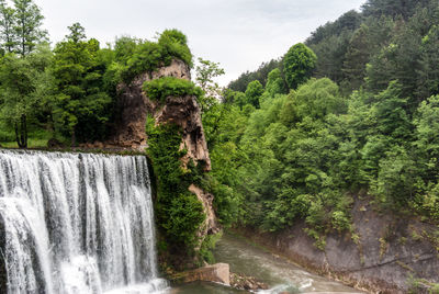 Scenic view of waterfall against trees in forest