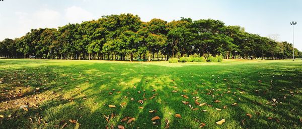 Scenic view of golf course against sky