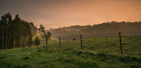Scenic view of grassy field against sky