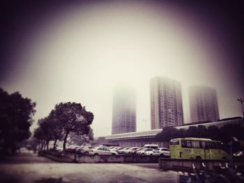 View of trees in foggy weather