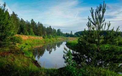 Scenic view of lake amidst trees against cloudy sky