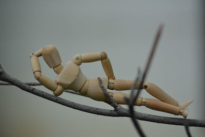 Low angle view of electric perching on wood against sky