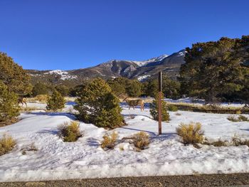 Scenic view of snowcapped mountains against clear blue sky