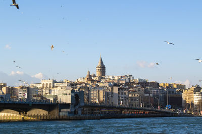 Seagulls fly over the galata bridge in golden horn bay in istanbul against clear sky