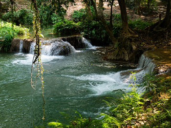 Scenic view of waterfall in forest