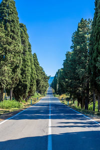 Empty road along trees and against blue sky