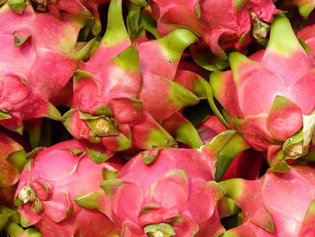 Full frame shot of pink fruits for sale in market