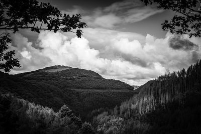 Scenic view of landscape against cloudy sky