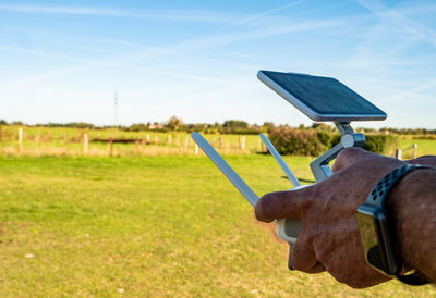 Horse standing on field