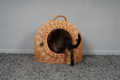 Close-up of a cat in basket