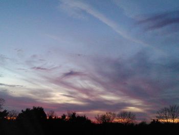 Silhouette of trees at sunset